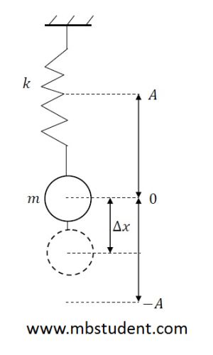 simple harmonic movement - motion equation